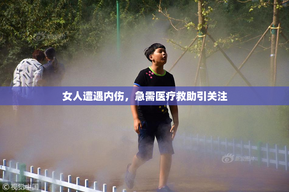 女人遭遇内伤，急需医疗救助引关注