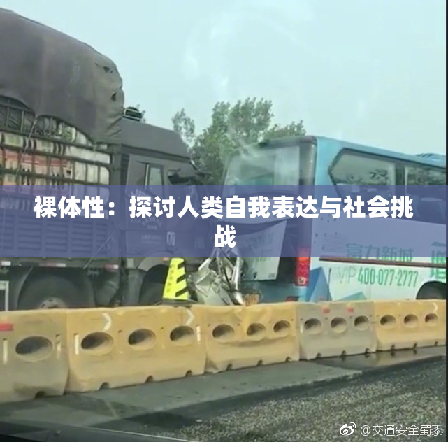 裸体性：探讨人类自我表达与社会挑战