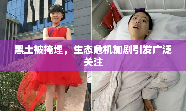 黑土被掩埋，生态危机加剧引发广泛关注