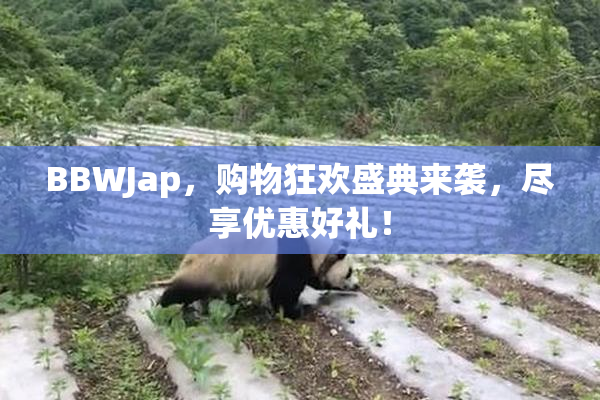 BBWJap，购物狂欢盛典来袭，尽享优惠好礼！