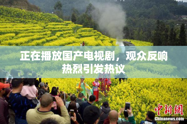 正在播放国产电视剧，观众反响热烈引发热议