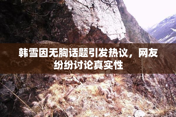 韩雪因无胸话题引发热议，网友纷纷讨论真实性