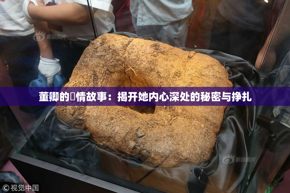 董卿的婬情故事：揭开她内心深处的秘密与挣扎