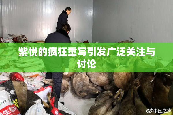 紫悦的疯狂重写引发广泛关注与讨论