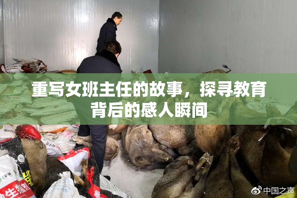 重写女班主任的故事，探寻教育背后的感人瞬间