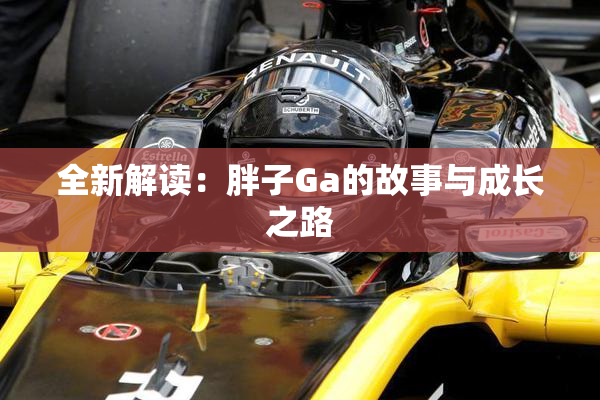 全新解读：胖子Ga的故事与成长之路