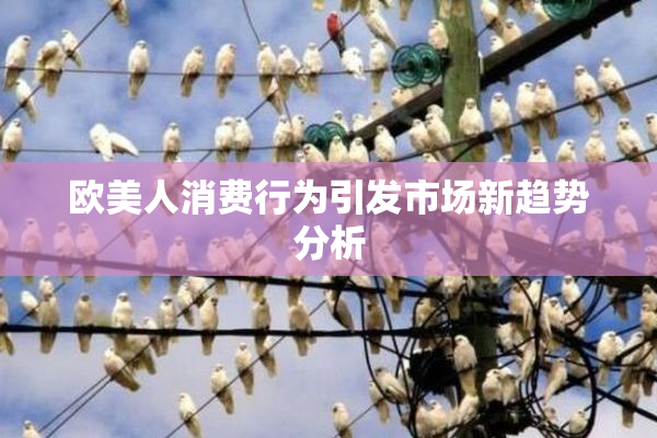 欧美人消费行为引发市场新趋势分析