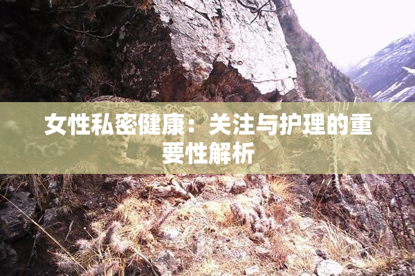 女性私密健康：关注与护理的重要性解析
