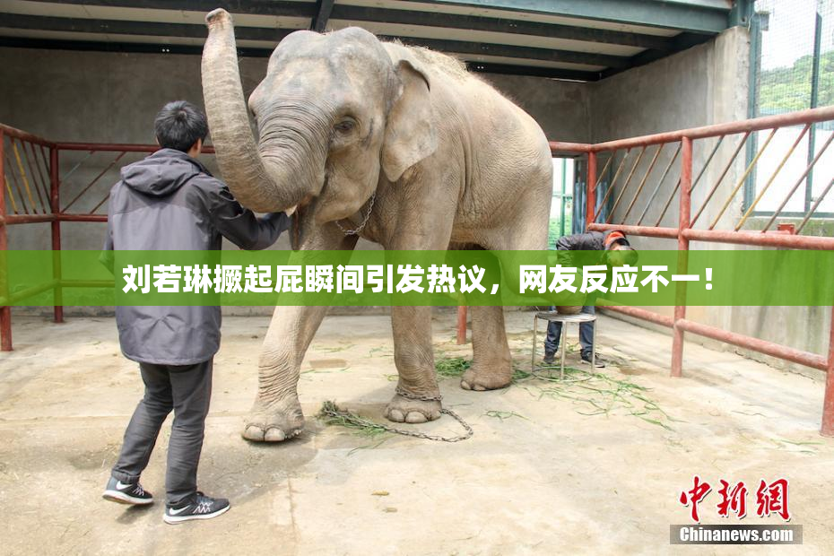 刘若琳撅起屁瞬间引发热议，网友反应不一！