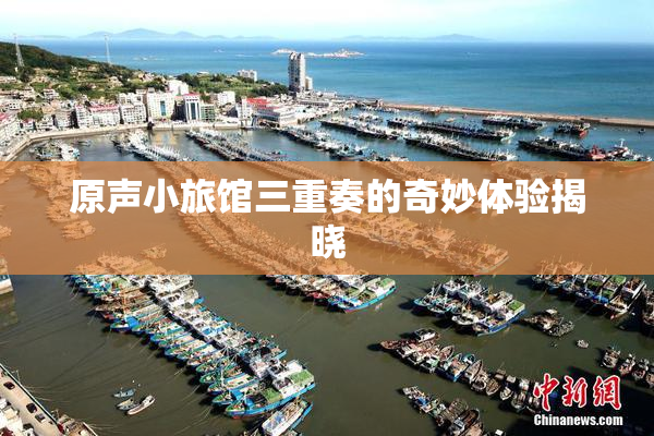 原声小旅馆三重奏的奇妙体验揭晓