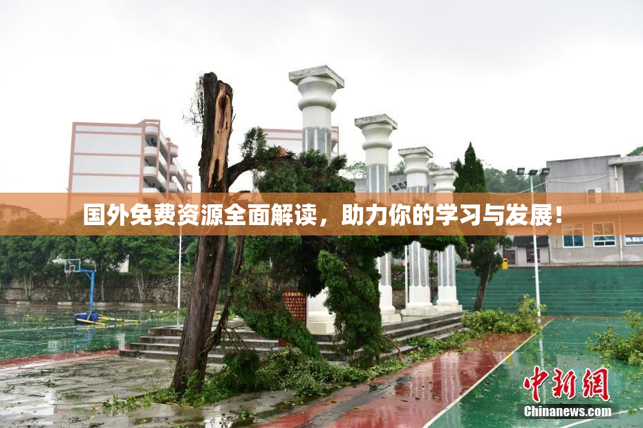 国外免费资源全面解读，助力你的学习与发展！
