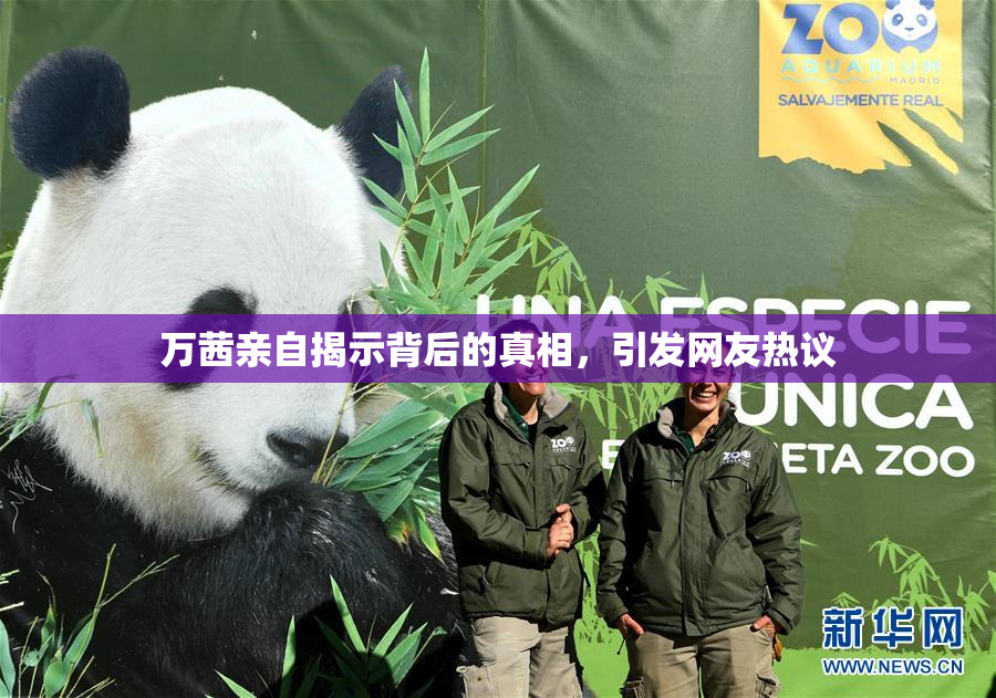 万茜亲自揭示背后的真相，引发网友热议