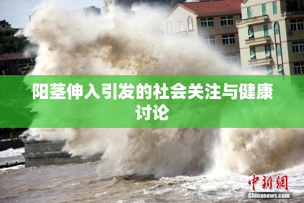 阳茎伸入引发的社会关注与健康讨论