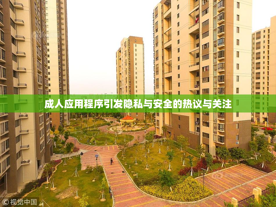 成人应用程序引发隐私与安全的热议与关注