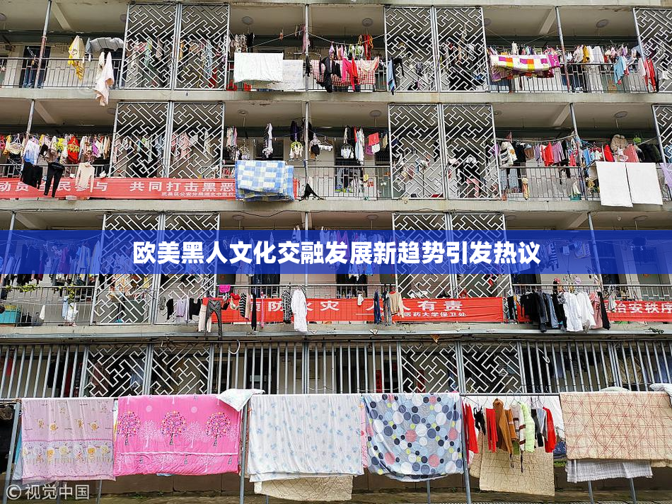 欧美黑人文化交融发展新趋势引发热议