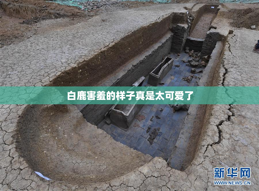 白鹿害羞的样子真是太可爱了