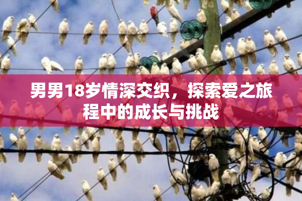 男男18岁情深交织，探索爱之旅程中的成长与挑战