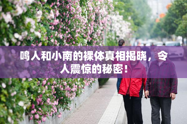 鸣人和小南的裸体真相揭晓，令人震惊的秘密！