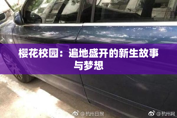 樱花校园：遍地盛开的新生故事与梦想