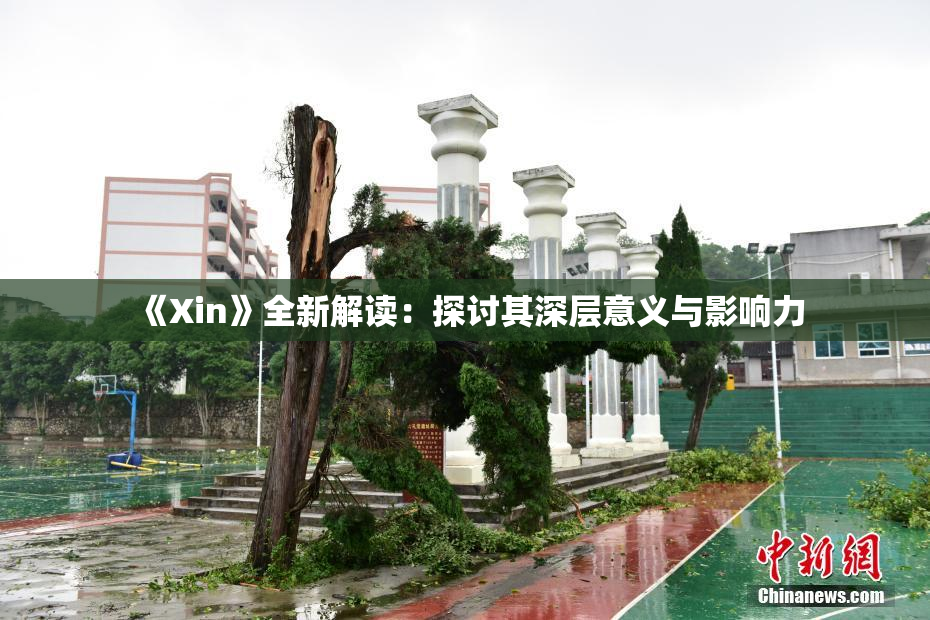 《Xin》全新解读：探讨其深层意义与影响力