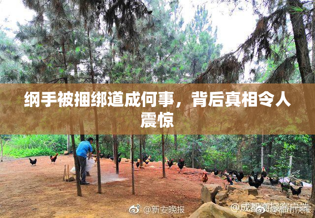 纲手被捆绑道成何事，背后真相令人震惊