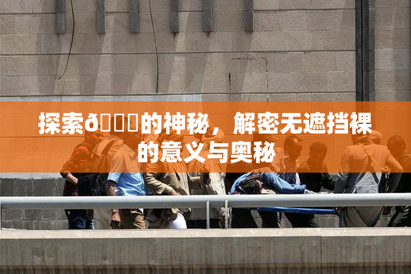 探索🔞的神秘，解密无遮挡裸的意义与奥秘