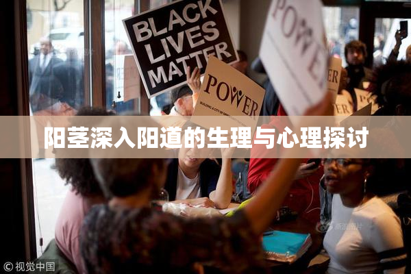 阳茎深入阳道的生理与心理探讨