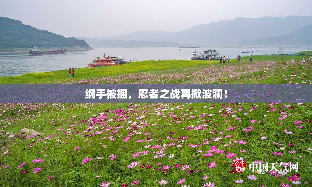 纲手被捆，忍者之战再掀波澜！