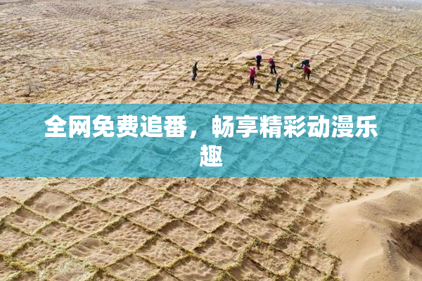 全网免费追番，畅享精彩动漫乐趣
