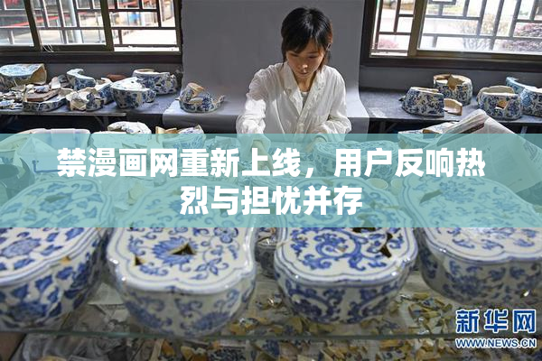 禁漫画网重新上线，用户反响热烈与担忧并存