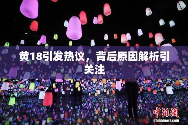 黄18引发热议，背后原因解析引关注