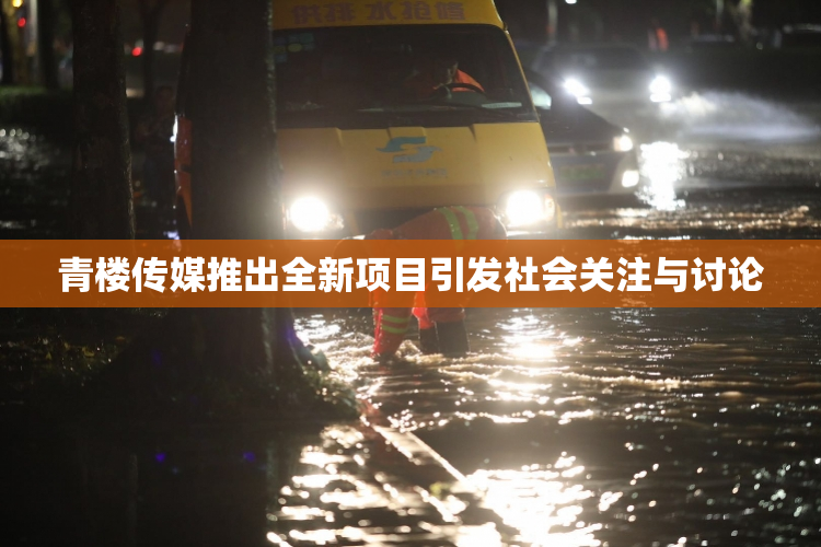 青楼传媒推出全新项目引发社会关注与讨论