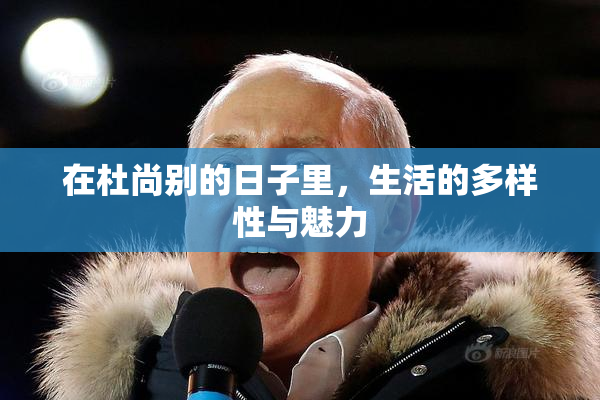 在杜尚别的日子里，生活的多样性与魅力