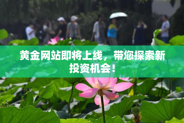 黄金网站即将上线，带您探索新投资机会！