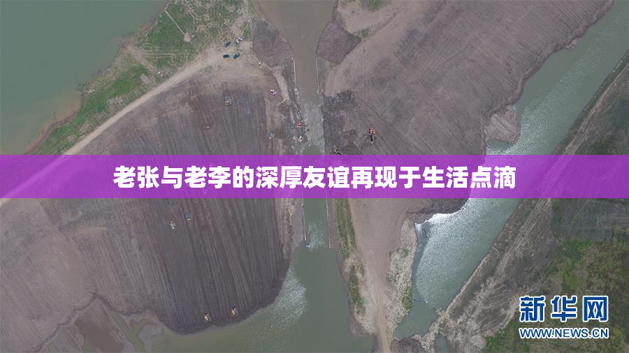 老张与老李的深厚友谊再现于生活点滴