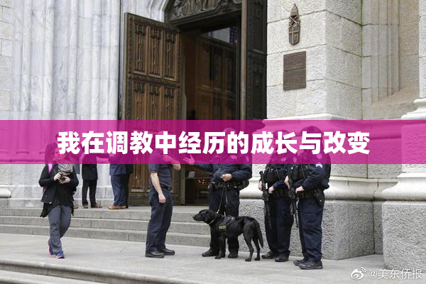 我在调教中经历的成长与改变