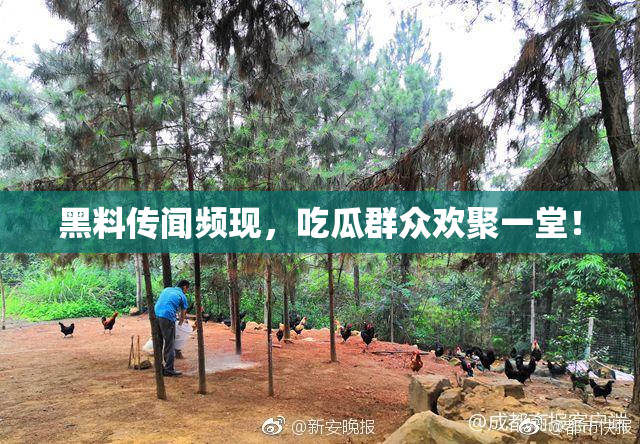 黑料传闻频现，吃瓜群众欢聚一堂！