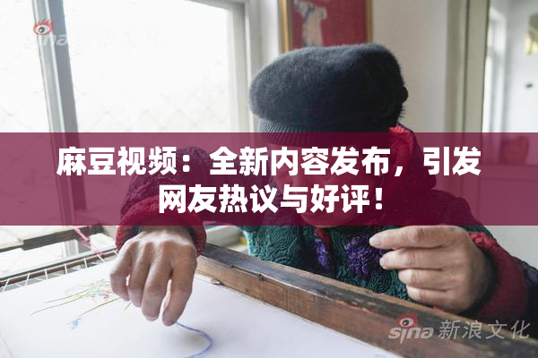 麻豆视频：全新内容发布，引发网友热议与好评！