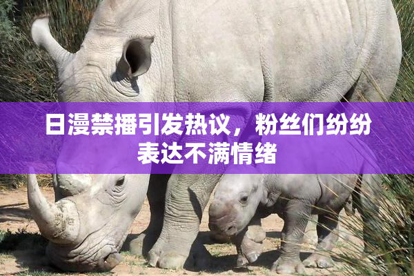 日漫禁播引发热议，粉丝们纷纷表达不满情绪
