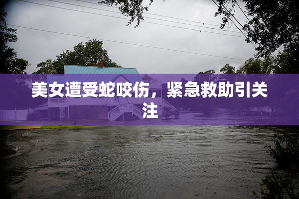 美女遭受蛇咬伤，紧急救助引关注