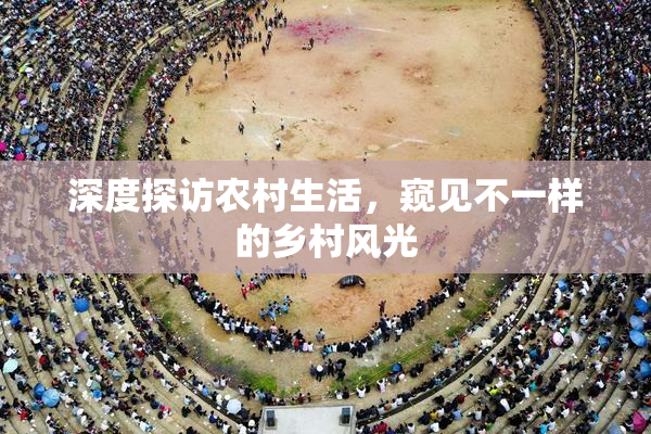 深度探访农村生活，窥见不一样的乡村风光