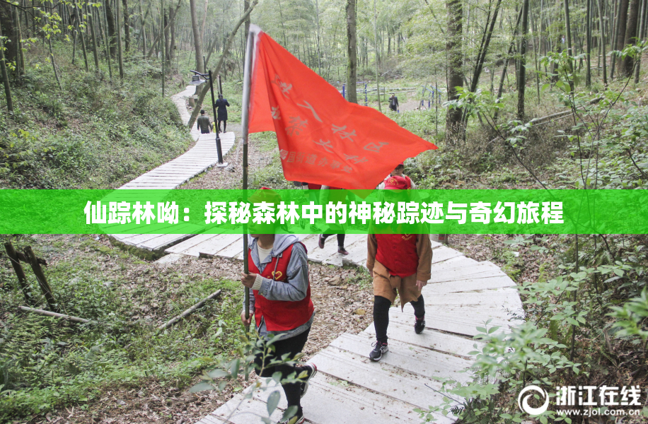 仙踪林呦：探秘森林中的神秘踪迹与奇幻旅程