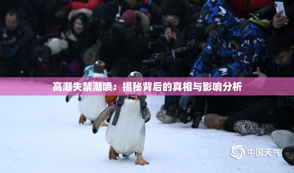 高潮失禁潮喷：揭秘背后的真相与影响分析