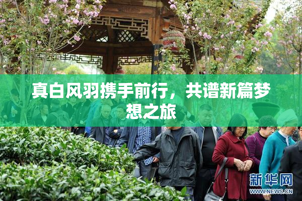 真白风羽携手前行，共谱新篇梦想之旅