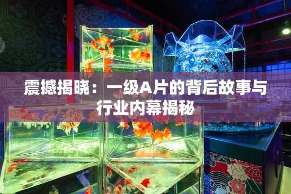 震撼揭晓：一级A片的背后故事与行业内幕揭秘