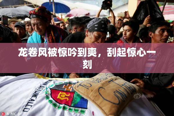 龙卷风被惊吟到爽，刮起惊心一刻