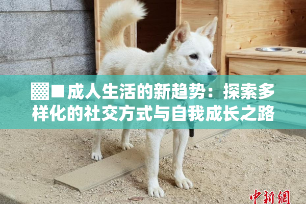 ▓■成人生活的新趋势：探索多样化的社交方式与自我成长之路