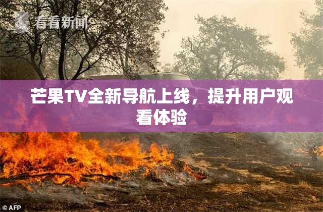 芒果TV全新导航上线，提升用户观看体验