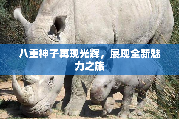 八重神子再现光辉，展现全新魅力之旅