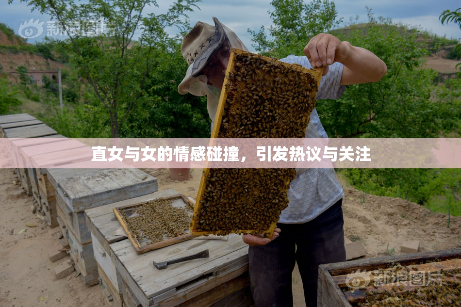 直女与女的情感碰撞，引发热议与关注
